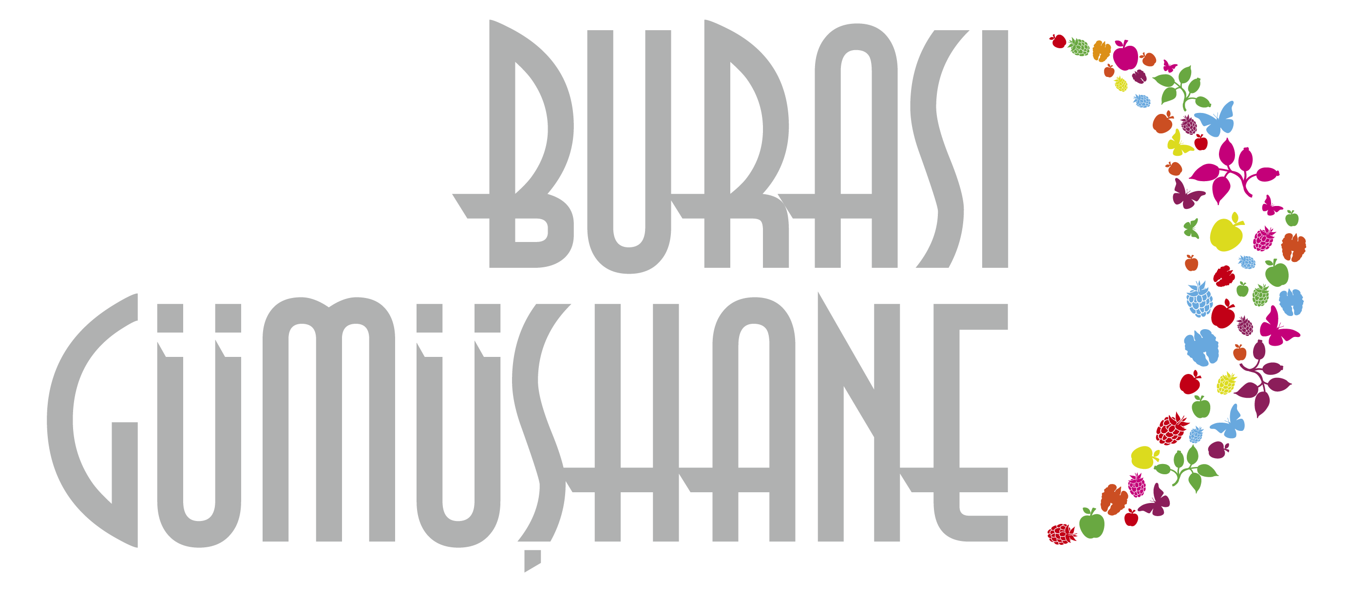 Burası Gümüşhane